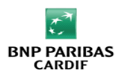 Partenaire 7